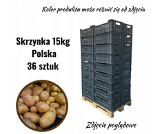 Plastikinė dėžė 15kg Pl 600x400x220 - paletė 36 vnt.