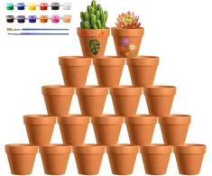 Realure 20 molinių vazonų rinkinys sukulentams, 4,5 x 4 cm, maži terakotiniai vazonai su spalvomis ir teptuku, terakotiniai vazonai su drenažo skylute, molinis vazonas sukulentams, kaktusams, vidaus