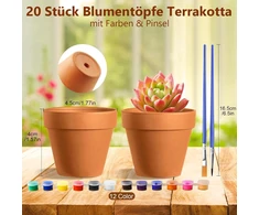 Realure 20 molinių vazonų rinkinys sukulentams, 4,5 x 4 cm, maži terakotiniai vazonai su spalvomis ir teptuku, terakotiniai vazonai su drenažo skylute, molinis vazonas sukulentams, kaktusams, vidaus