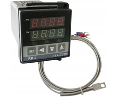 Reball Reguliatorius Rex-c100 su Pt100 jutikliu, 230v