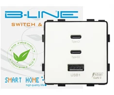 Usb lizdas a plius 2x usb c greitas įkrovimas fast charge 65w