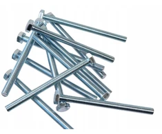 Varžtas M 10 x 120 1kg Din933
