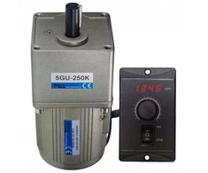 Vienfazis variklis su pavara ir reguliatoriumi 0,4-5 aps/min 230v 40w