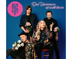 Vinilinė plokštelė Visata nėra dvejetainė