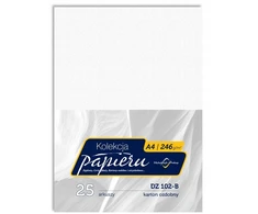 Vizitinio popieriaus kartonas, diplomams A4 246g hammer baltas Dz102-b