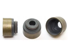 Vožtuvo stiebo sandariklis (6x10,8x13,5x10,6) Volvo S40 I, V40 Chery