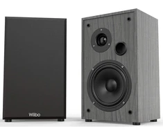 Kompiuterio kolonėlės Wiibo String 15 Hifi lentyninės kolonėlės 100w pora