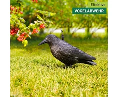 Windhager sodo figūrėlė varnas, balandžių atbaidymo priemonė ir baidyklė iš plastiko, kenkėjų kontrolė, apsauga nuo erzinančių paukščių, varna, balandžių baidyklė, 37 cm, 07117, juoda