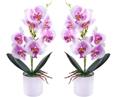 Xonor Dirbtinės orchidėjos vazone, 2 vnt., violetinės