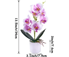 Xonor Dirbtinės orchidėjos vazone, 2 vnt., violetinės