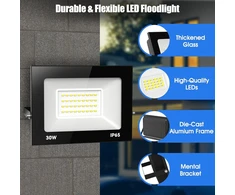 Zelvia 30 W led lauko prožektorius, 3000 lm itin ryškus led prožektorius, 6000 K šaltai baltas lauko prožektorius, ip65 vandeniui atsparus prožektorius sporto aikštelei, garažui, sodui, kiemui (1, 30 W šaltai balta)