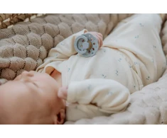 Čiulptukai BIBS BOHEME Sage / Cloud (2vnt.)