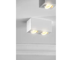 Lubinis šviestuvas GTV AVEIRO DUO BIS lubinis šviestuvas, aliuminis, 160x80x90mm, IP20, max 20W*2, kvadratinis, baltas