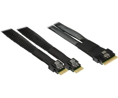 Inter-Tech kabelis 88885662, 70cm, 24Gb/s, PCIe 4.0, SAS 3, SATA, 30 AWG, 1x SlimSAS SFF-8654 8i į 2x SFF-8654 4i