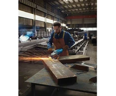 Bosch Bosch angle grinder GWS 22-180 J Professional (mėlynas, 2,200 watts)