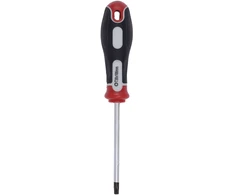 Kreator Atsuktuvas TORX T30 KRT404110, 100mm, 30
