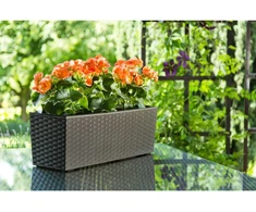 Lamela Balkono vazonas 9836253, 56 cm, 19 cm, Ø 56 cm, ruda, plastikas, stačiakampis, modelis: Begonia Rattan