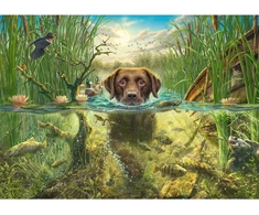 Schmidt Spiele Dėlionė 58572, 1000 vnt., 69.3x49.3 cm, Dog Love, Rudas labradoras, Įvairiaspalvė, Kartonas, Nuo 12 m.