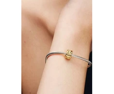 Papuošalas PANDORA 768035C00 (moterims)