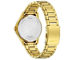 Rankinis laikrodis CITIZEN BF2028-83P (vyrams)