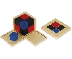 Dėlionė TimeTEX Binominis Kubas "Montessori Premium" (TT94267)