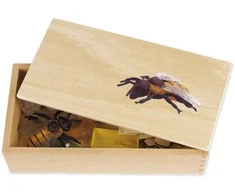 Dėlionė TimeTEX Bitės Gyvenimo ciklas, medinėje dėžutėje, Vokiška versija "Montessori Premium" (TT94756)