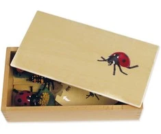 Dėlionė TimeTEX Boružės Gyvenimo ciklas, medinėje dėžutėje, Vokiška versija "Montessori Premium" (TT94754)