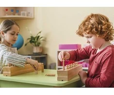 Dėlionė TimeTEX Cilindrų Kaladė 4 "Montessori Premium" (TT94248)