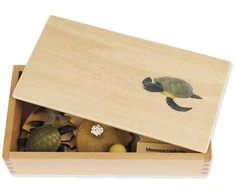 Dėlionė TimeTEX Jūrų Vėžlio Gyvenimo ciklas, medinėje dėžutėje, Vokiška versija "Montessori Premium" (TT94751)