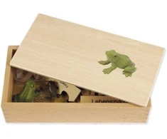 Dėlionė TimeTEX Varlės Gyvenimo ciklas, medinėje dėžutėje, Vokiška versija "Montessori Premium" (TT94752)