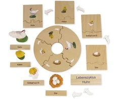 Dėlionė TimeTEX Vištos Gyvenimo ciklas, medinėje dėžutėje, Vokiška versija "Montessori Premium" (TT94753)
