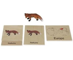 Dėlionė TimeTEX Žemynų gyvūnų dėžutė (Vokiška versija) "Montessori Premium" (TT94712)