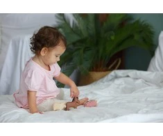 Dėlionė PlanToys rinkinys Naminiai gyvūnai (PT6127)