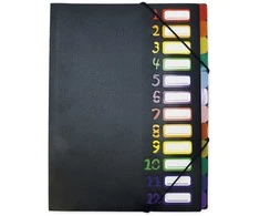 TimeTEX aplankalas 1-12 A4, spalvotas su užsegimu gumytėmis (TT10682)