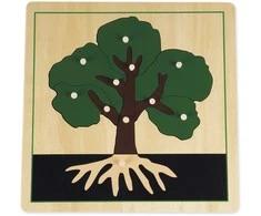 TimeTEX Dėlionė Medis "Montessori Premium" (TT94780)