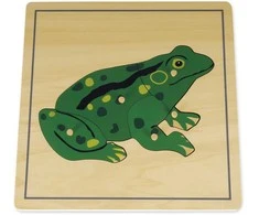 TimeTEX Dėlionė Varlė "Montessori Premium" (TT94740)
