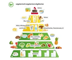 TimeTEX Mitybos piramidė su vegetariškais ir tradiciniais maisto produktais, magnetinis rinkinys, 129 dalių (TT81635)