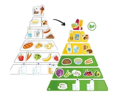 TimeTEX Mitybos piramidė su vegetariškais ir tradiciniais maisto produktais, magnetinis rinkinys, 129 dalių (TT81635)