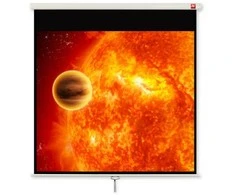Avtek Wall 4:3 video 240x200 240BT Mattas Baltas