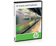 Hewlett Packard (HP) HPE StoreOnce 2000/3000 Catalyst E-LTU