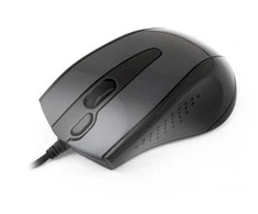 A4Tech A4TMYS40975 Pelė V-TRACK N-500F-1 Glossy Pilkas USB
