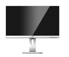 Monitorius AOC X24P1 TFT 24-inch