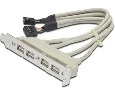 Assmann Electronic ASSMANN USB lizdo laikiklio kabelis 4x tipo A-2x10 kontaktų IDC F/F 0,25 m USB 2.0 suderinamas