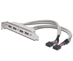 Assmann Electronic ASSMANN USB lizdo laikiklio kabelis 4x tipo A-2x10 kontaktų IDC F/F 0,25 m USB 2.0 suderinamas