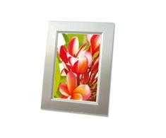 Avery Zwckform Premium High Gloss fotopopierius 250g A4