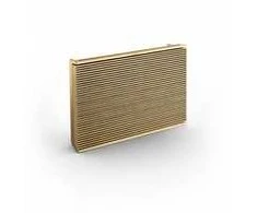 Bang &amp; Olufsen Beosound Level Nešiojama Namų Kolonėlė, (Gold Tone Alu/Light Oak), su WiFi ir Google balso asistentu