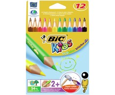 BIC Evolution Triangle - Multi - 12 pc(s)