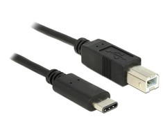 Kabelis USB Delock USB-C - 0.5 m Juodas (83328)
