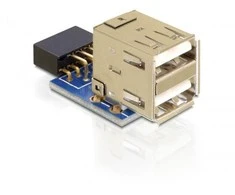 Delock Adapteris USB PIN 9PIN