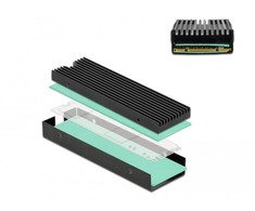 Delock radiatorius M.2 SSD 2280 juodas
